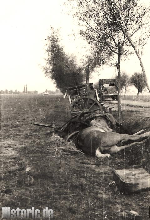 22ID - Der Polenfeldzug